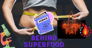 The Science Behind Fat Burning Superfoods Article by Let's Redefine Lifestyle